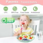 Bella’s Friends Stainless Steel Baby Plates with Suction 3 Pack, 8” Divided Toddler Plates with Removable Silicone Sleeves for Mess-Free Feeding