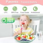 Bella's Friends Stainless Steel Toddler Plates Silicone Suction,3 Packs Non-Slip Baby Plates,Divided Portion,Food-Grade Silicone Plate for Kids,LEAD-FREE Dishwasher Safe